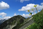All’Angelo di CIMA CADELLE (2483 m) dalla Baita del Camoscio (1750 m) il 23 giugno 2018 - FOTOGALLERY